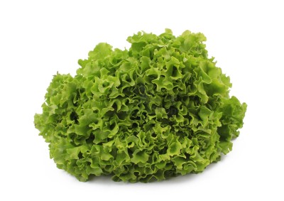 Салат романо 1 кг - купить в Кослане